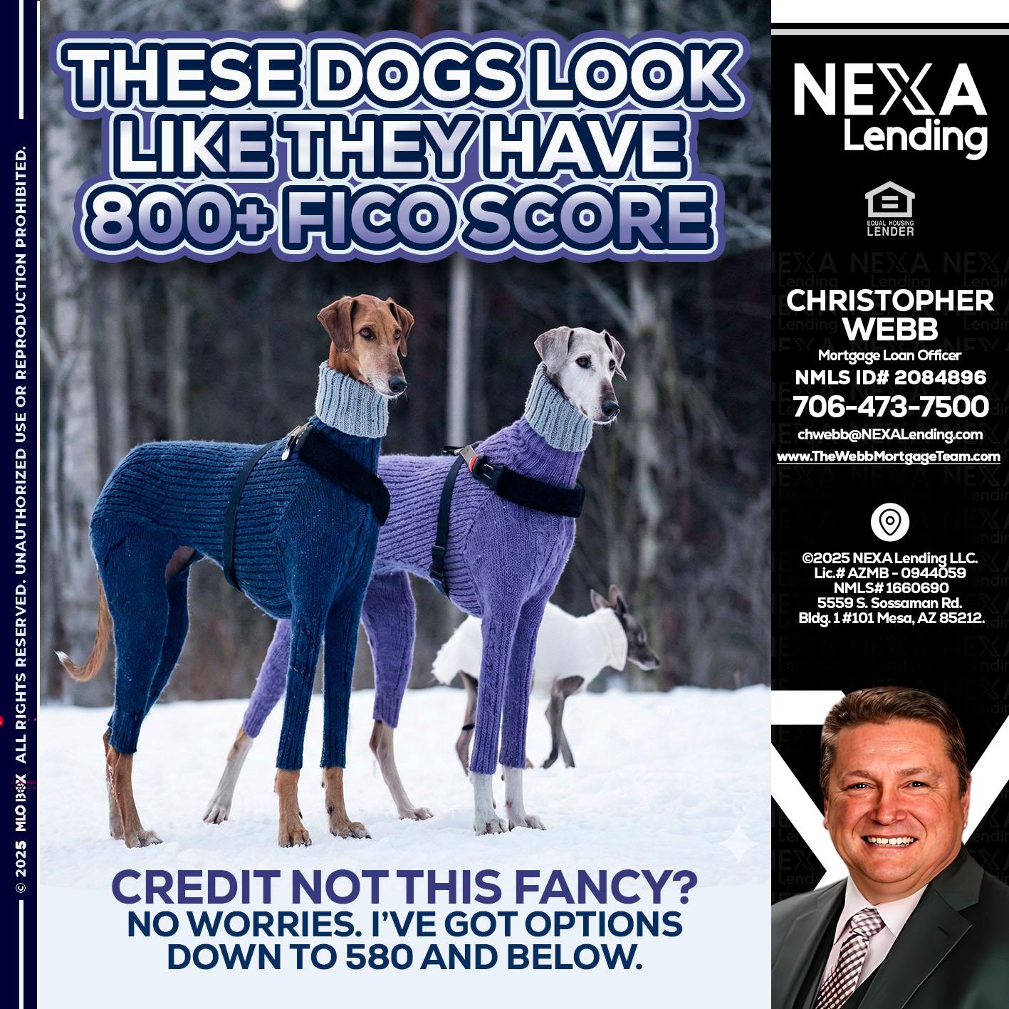 THESE DOGS LOOK - Christopher Webb -Mortgage Loan Officer